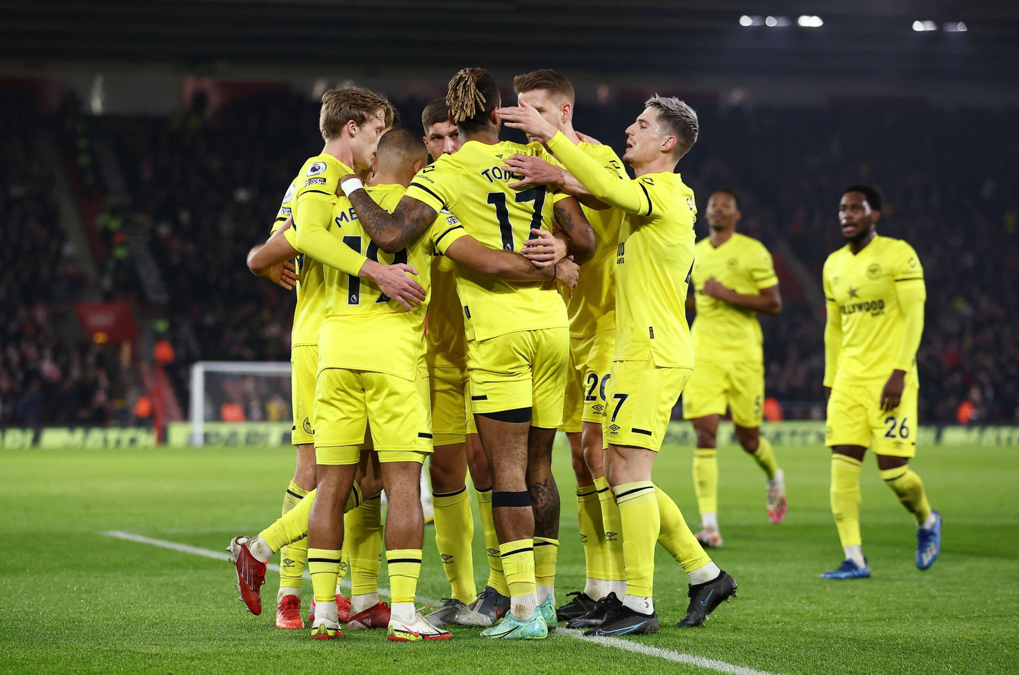 游泳世界杯 游泳世界杯